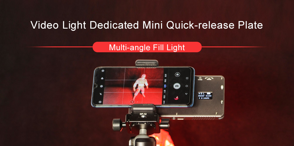 Sunwayfoto DP-12 Dedicated Video Light Mini Quick-Release Plate