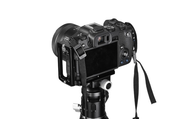 Sunwayfoto PCL-R8 L Bracket for Canon EOS R8 Canon | Sunwayfoto Australia | 5